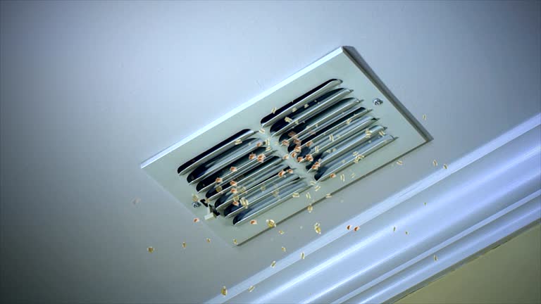 Best Emergency Air Duct Cleaning  in Markesan, WI