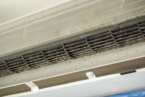 Best General Air Duct Cleaning  in Markesan, WI